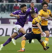 都灵vs萨勒尼塔纳