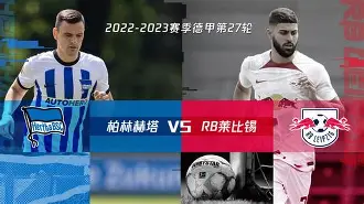 柏林赫塔新球场效果图